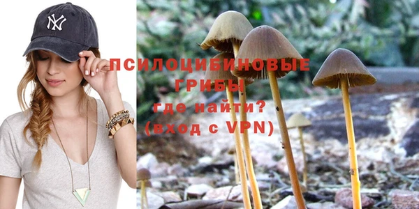 apvp Аркадак